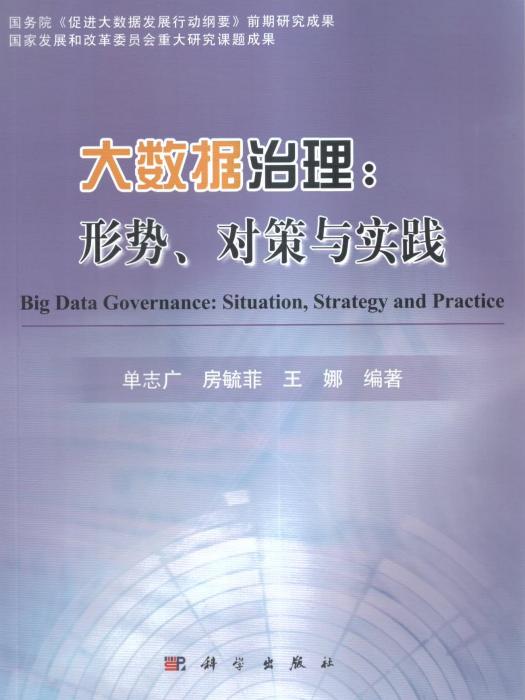 大數據治理：形勢、對策與實踐