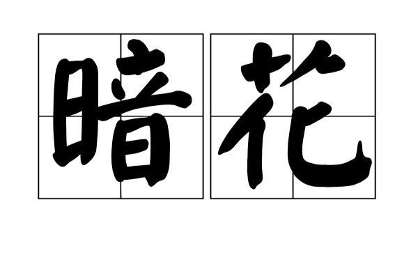 暗花(漢語詞語)