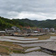 樟溪村(江西省贛州市贛縣吉埠鎮下轄村)