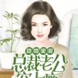 隱婚蜜愛：總裁老公寵上癮