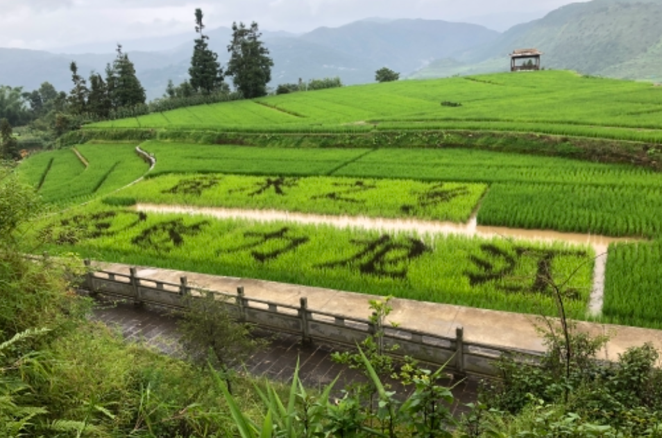 龍江鄉(雲南龍陵縣下轄鄉)