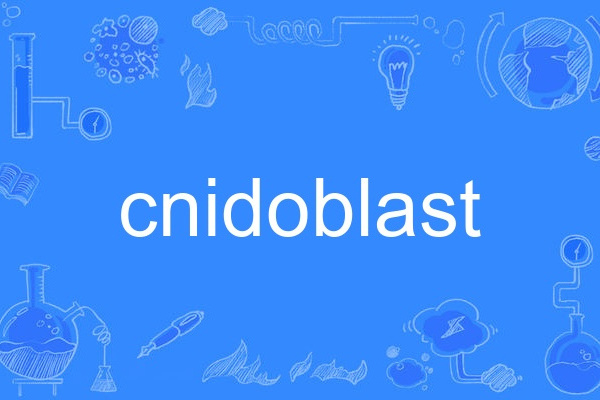 cnidoblast