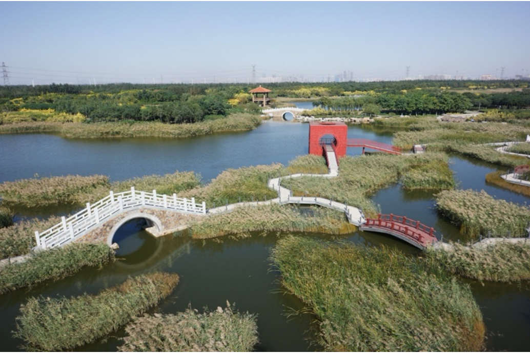 小海河濕地公園