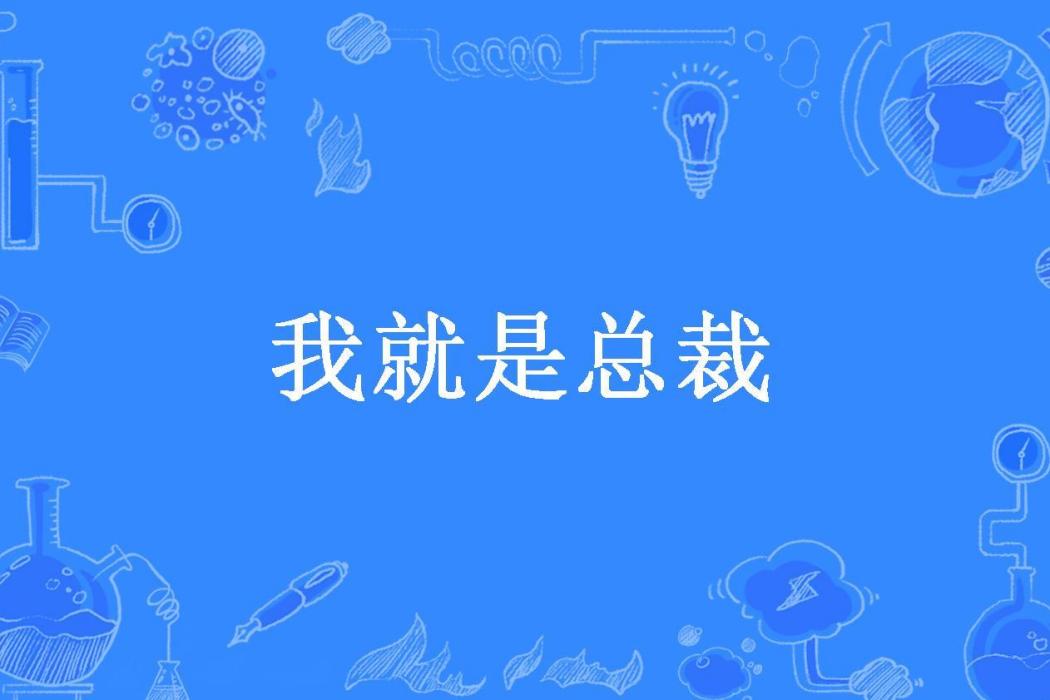 我就是總裁(雲霄所著小說)