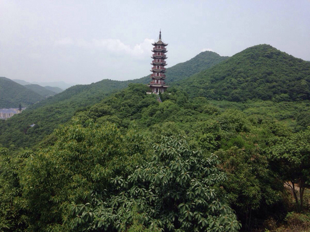 浙江奉化黃賢森林公園