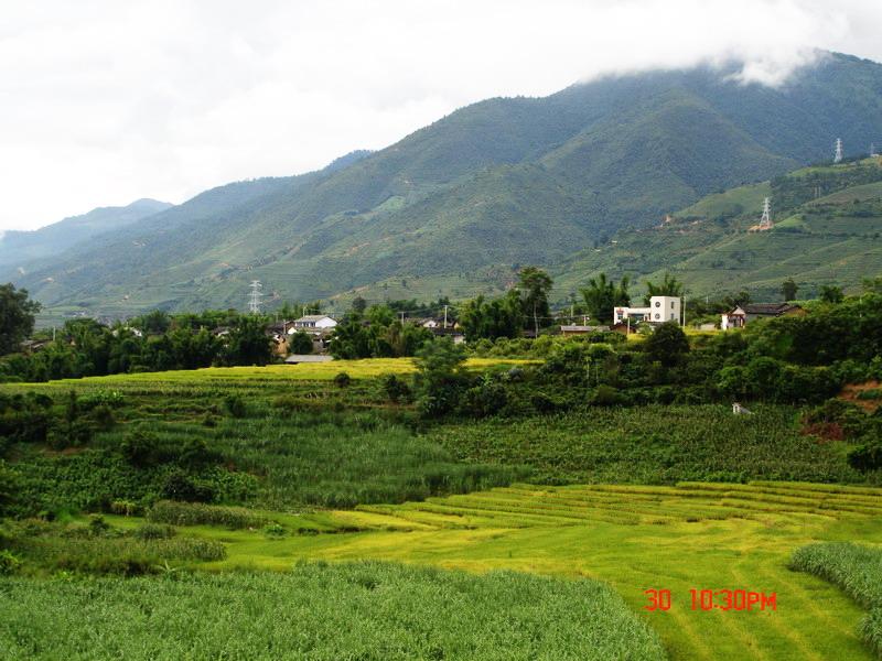 鋪莊核桃園自然村耕地