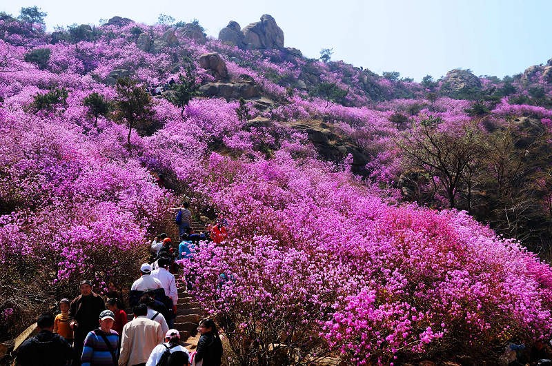 大珠山