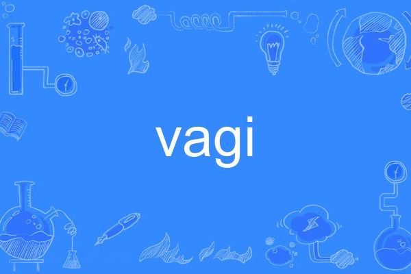 vagi