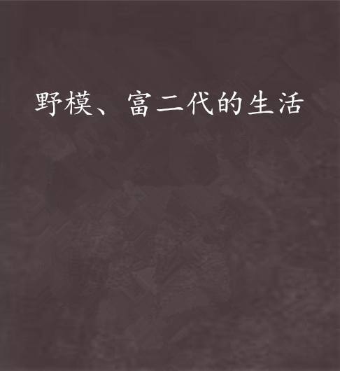 野模、富二代的生活