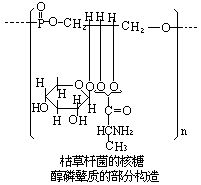 磷壁酸質