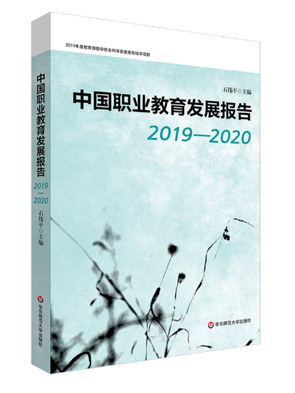 中國職業教育發展報告(2019—2020)