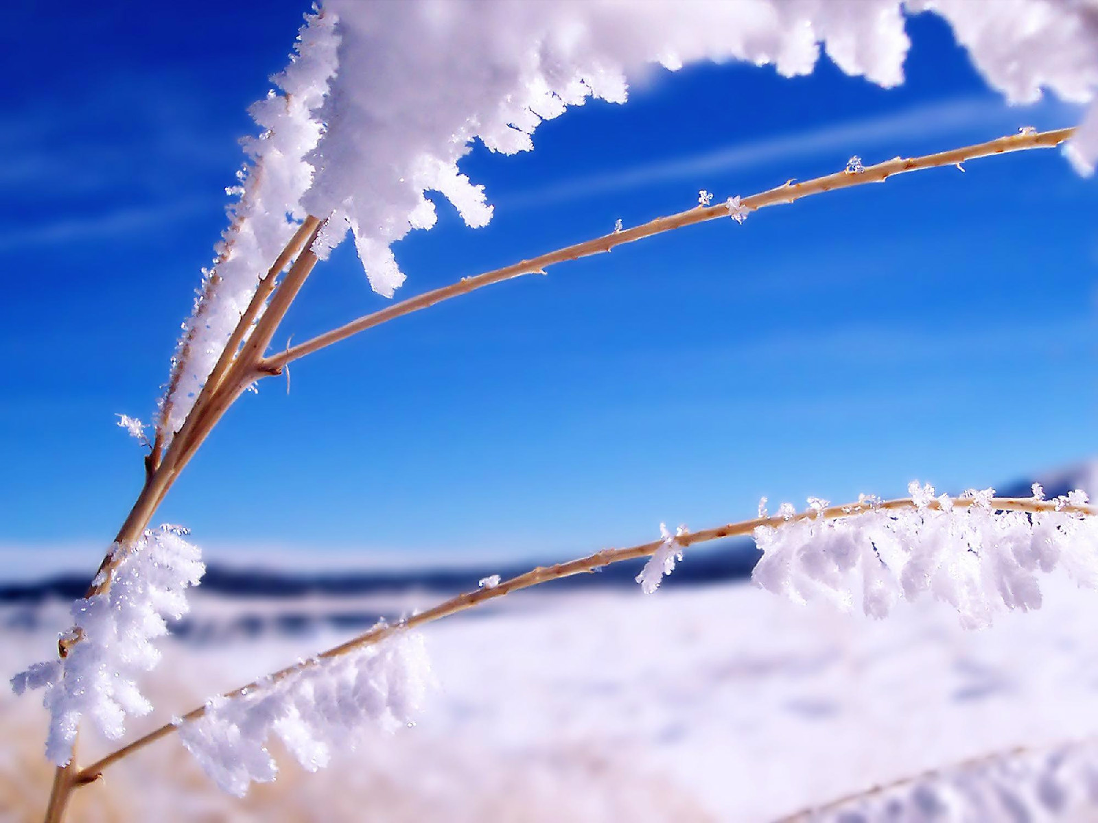 初雪(瑞士班得瑞(BANDARI)樂團作品)