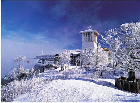 龍平滑雪場