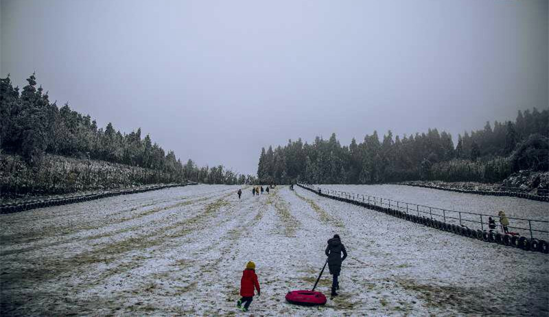 滑草滑雪場