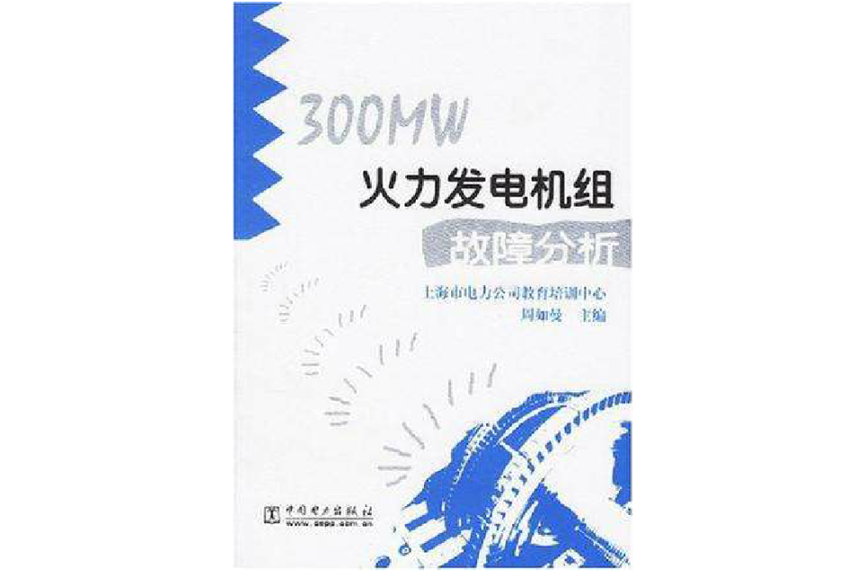 300MW火力發電機組故障分析