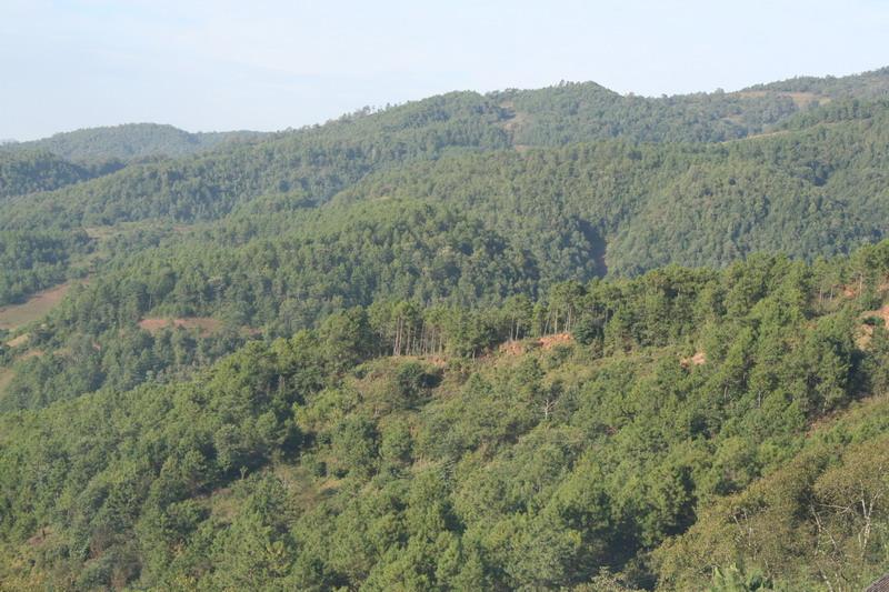 黃花坪自然村(雲南大理洱源縣喬後鎮黃花村委黃花坪自然村)