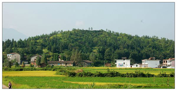 團村村