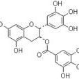 茶多酚標準品