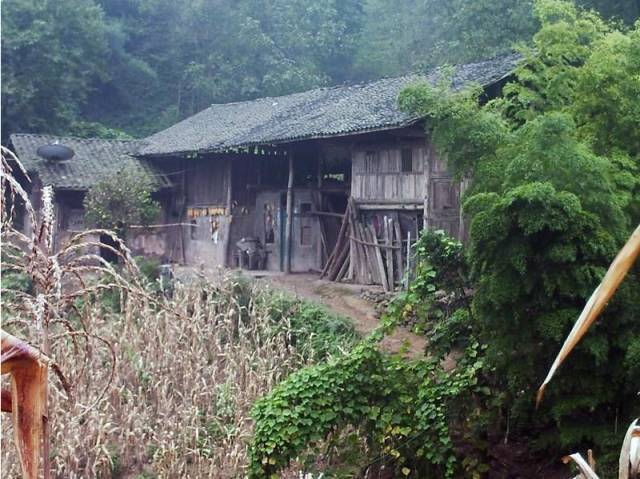 田壩村(雲南省昭通市鹽津縣灘頭鄉田壩村)