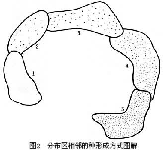 物種形成