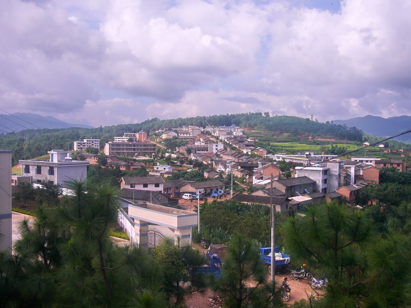 新村鎮(雲南省楚雄市新村鎮)