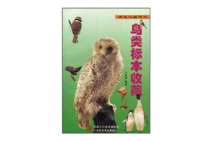 鳥類標本收藏