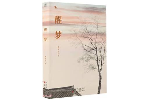 醒夢(2024年百花文藝出版社出版的圖書)