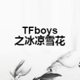 TFboys之冰涼雪花