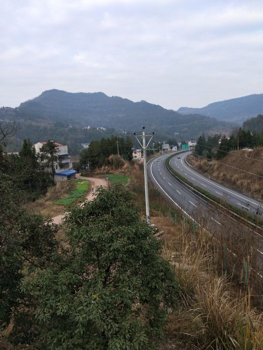 羅花山村