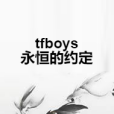 tfboys永恆的約定