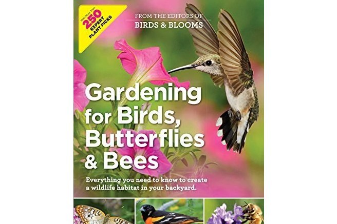 Gardening for Birds, Butterflies, and Bees