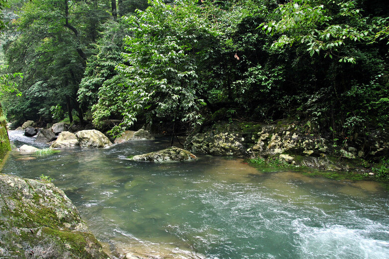 中川河