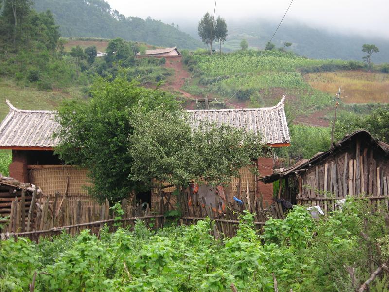 羊卷坪村