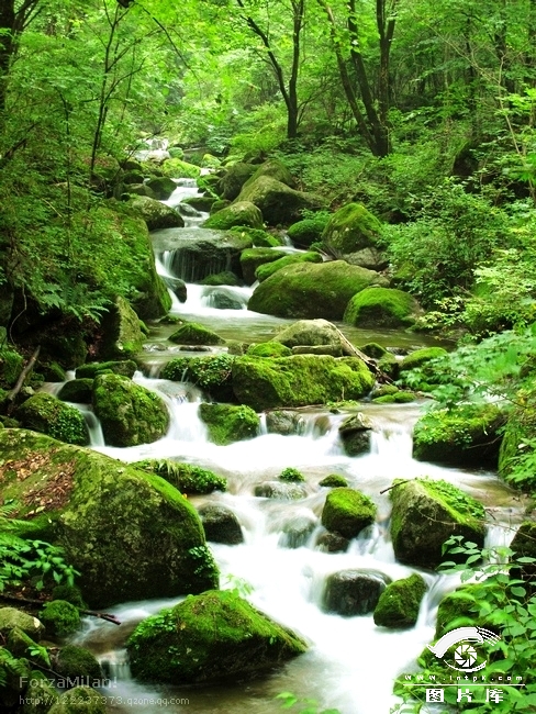 花脖山