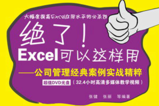 絕了！Excel可以這樣用——公司管理經典案例實戰精粹