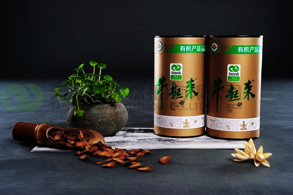 天利牛起來牛蒡茶：金牛起來