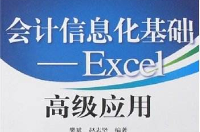 會計信息化基礎/Excel高級套用