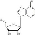 腺嘌呤核苷