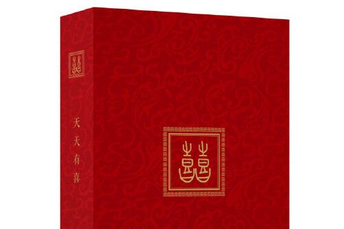 囍(2015年中國青年出版社出版的圖書)