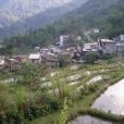 登雲新寨村