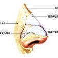 咽梅毒