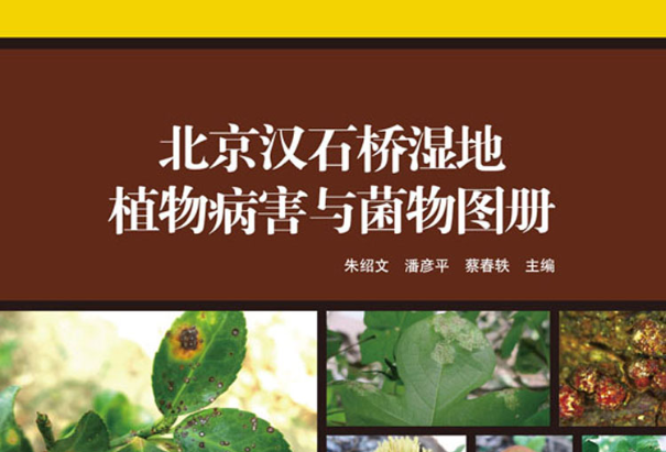 北京漢石橋濕地植物病害與菌物圖冊