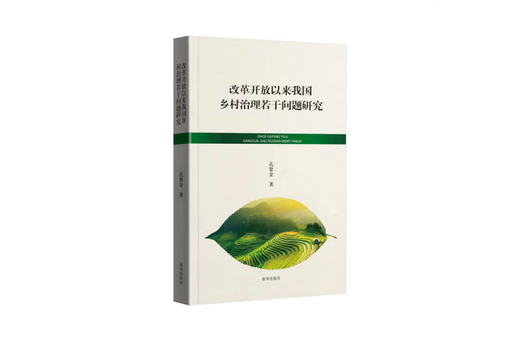 改革開放以來我國鄉村治理若干問題研究