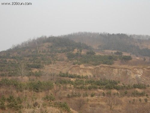 小鄧陶村