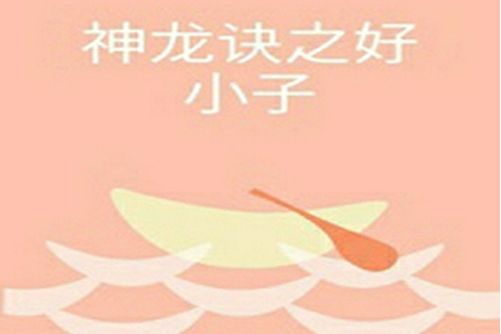 神龍訣之好小子(小說)