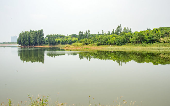 金滿湖省級濕地公園