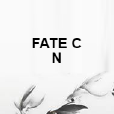 FATE CN