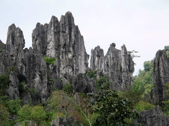 雷嶺石林