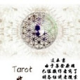 Tarot收集計畫