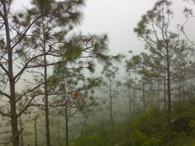 霧中北額嶺